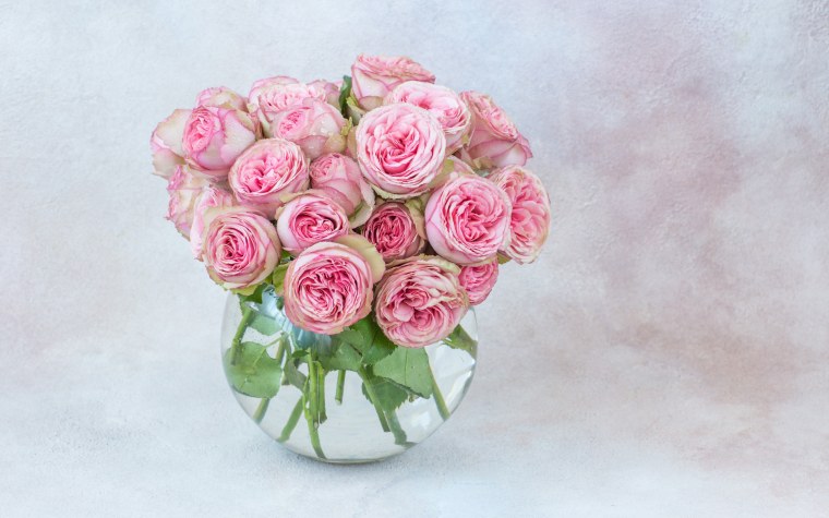 Розовые розы в вазе
