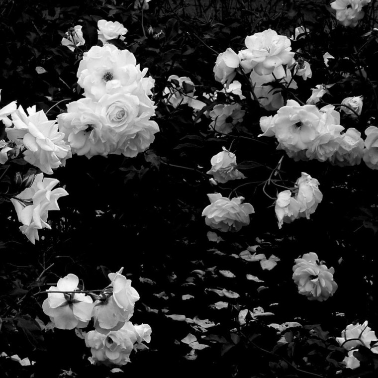 Черно белая Эстетика