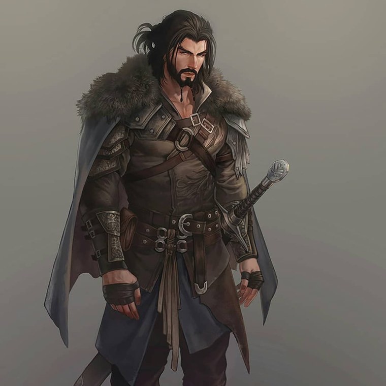 Принц Полуэльф плут