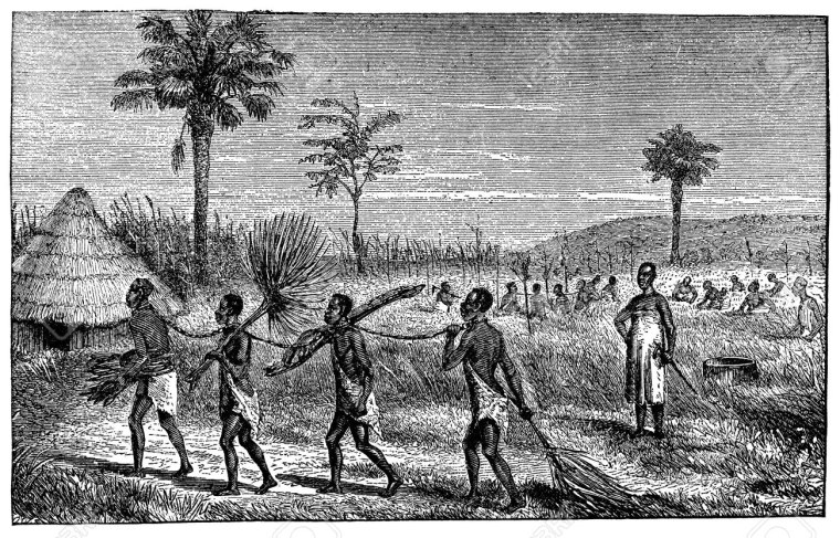 Африка 19 века колонизаторы