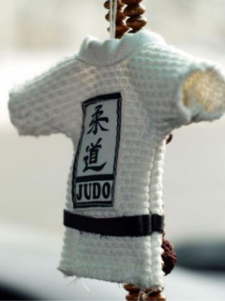 Дзюдо картинки на аву