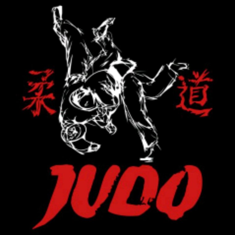 Дзюдо заставка