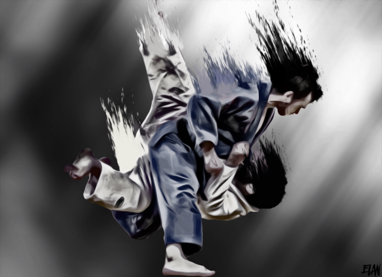 Дзюдо боевое искусство