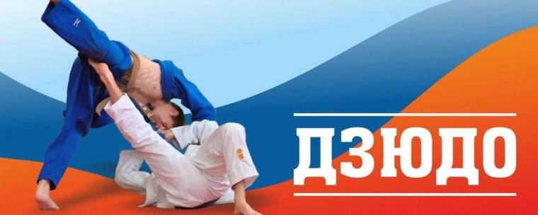 Дзюдо баннер