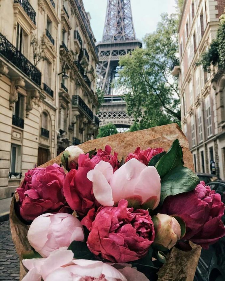 Цветы Франции