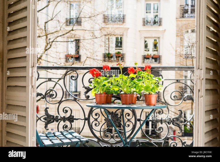 Лаванда на балконе Париж