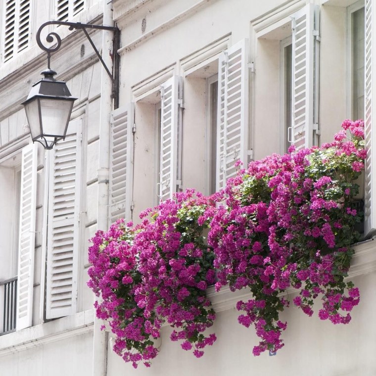 Балкон с цветами Париж