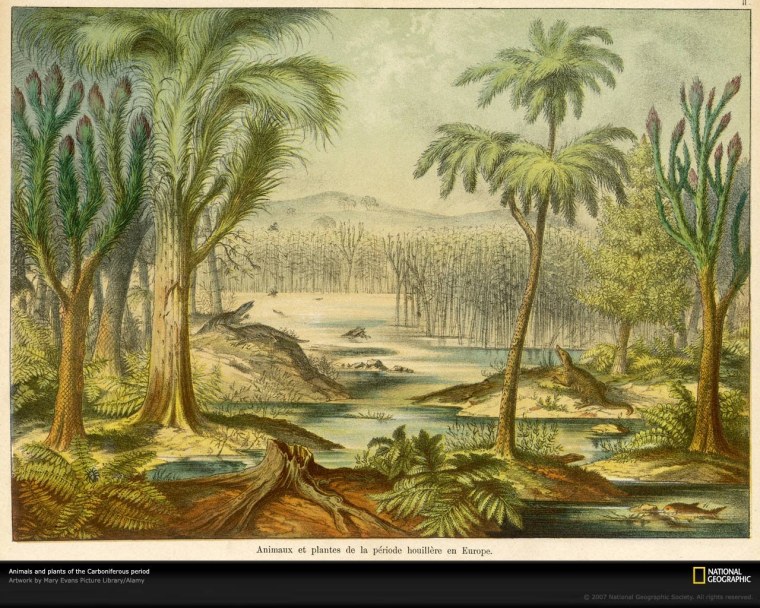 Доисторический папоротник