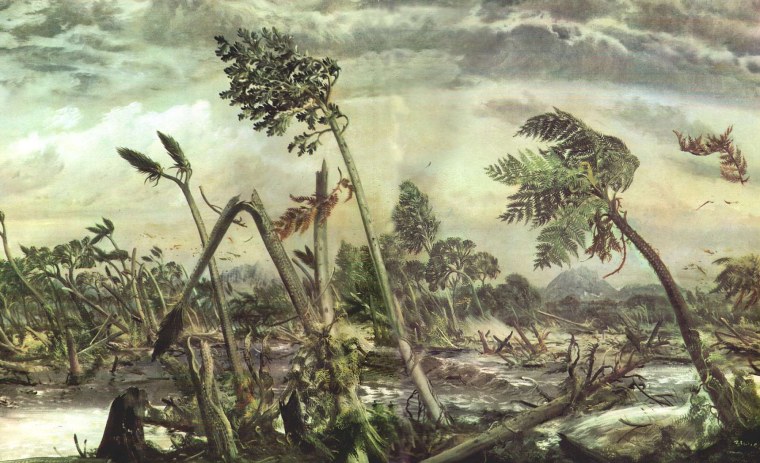 Древовидные папоротники палеозойской эры