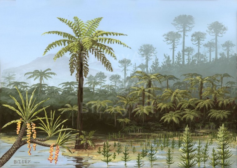 Мезозойская Эра Юрский период растения