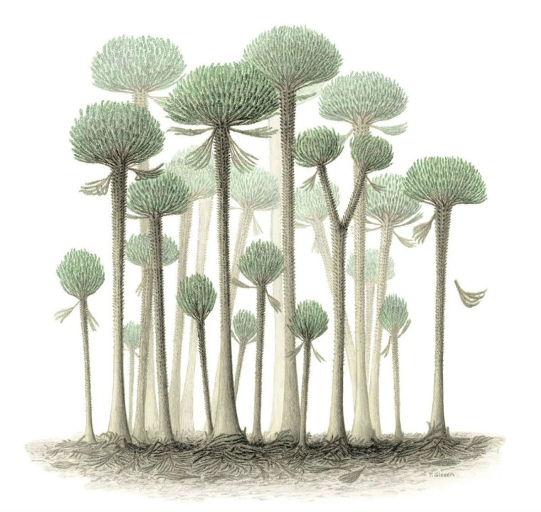 Древние растения