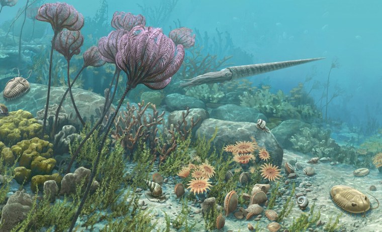 Ордовикский период – Ордовик