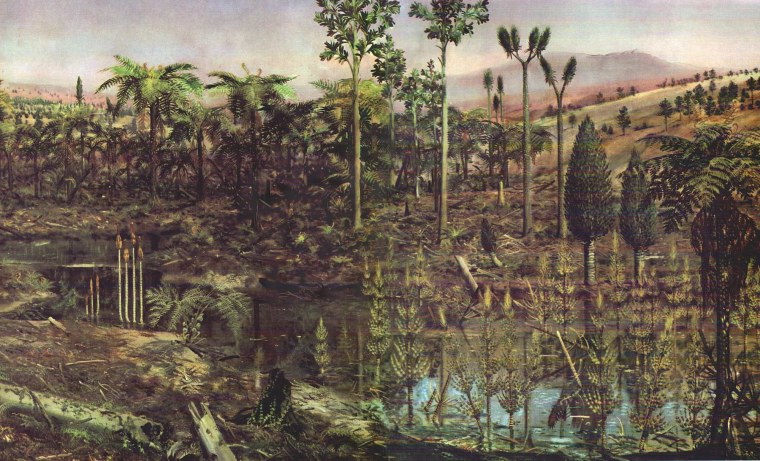 Пермский период палеозойской эры растения