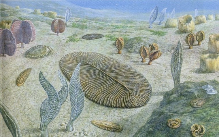 Палеозой Эра Кембрий