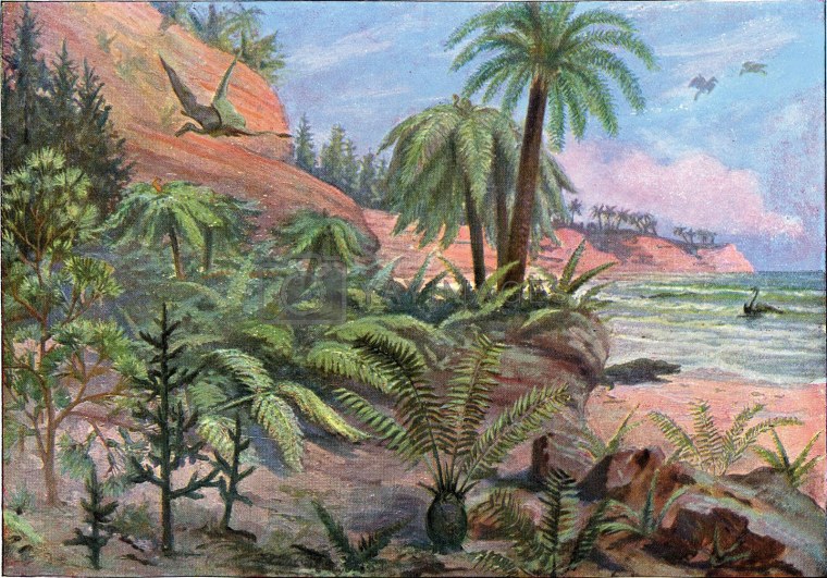 Древовидные папоротники палеозой