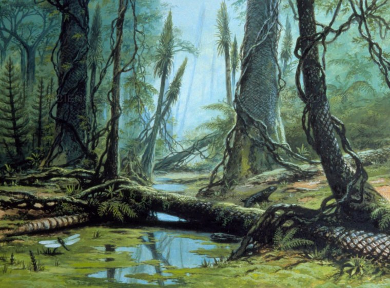 Карбон каменноугольный период палеозойской эры