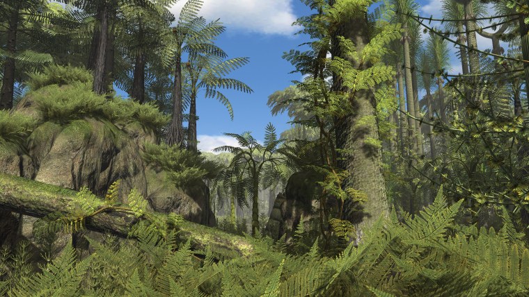 Карбон каменноугольный период