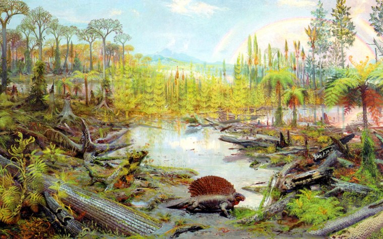 Пермский период палеозойской эры