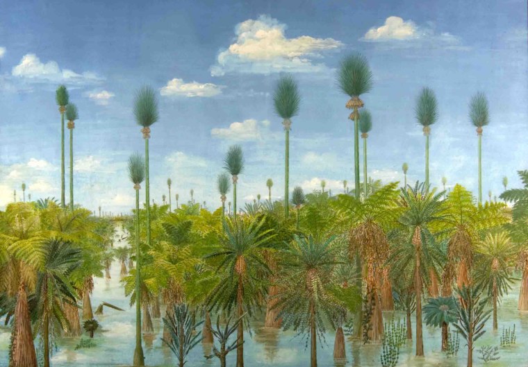 Триасовый период растения