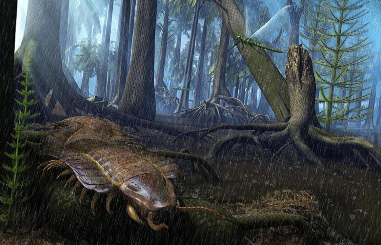 Каменноугольный период палеозойской эры