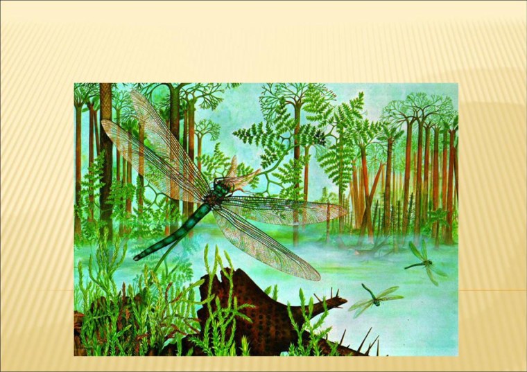 Каменноугольный период палеозойской эры