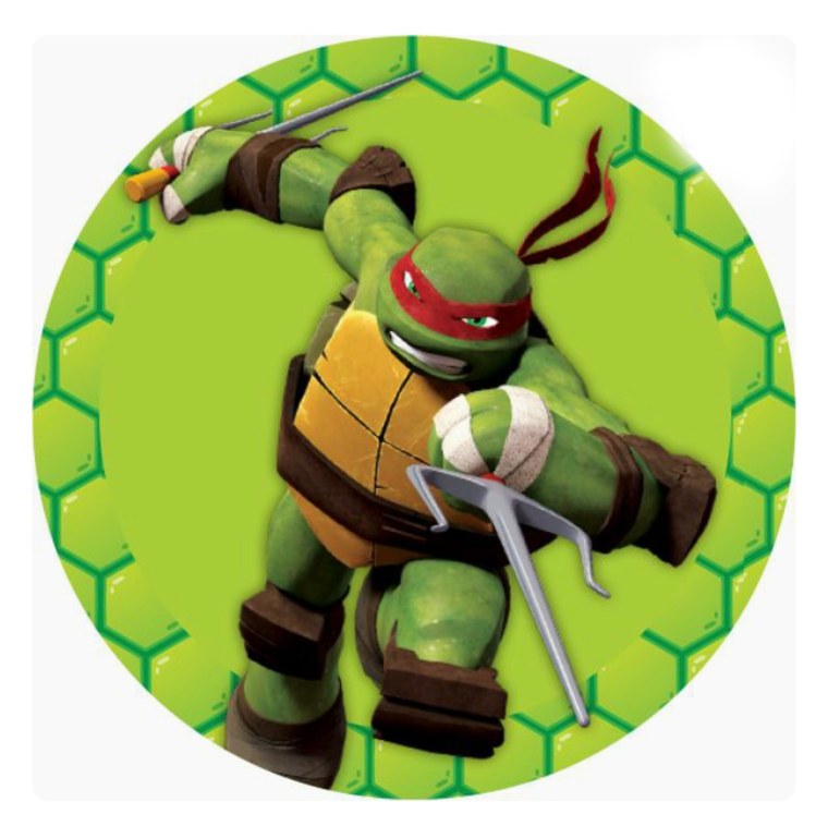 Черепашки ниндзя топеры