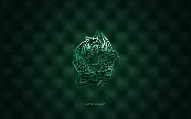 АК Барс черный фон