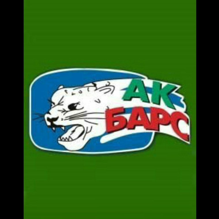 Эмблема хк АК Барс Казань