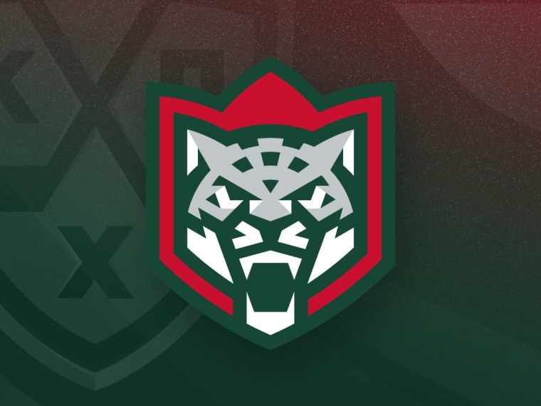 Новый логотип АК Барса