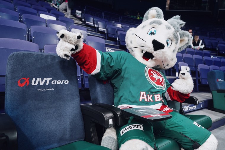 Талисман команды АК Барс