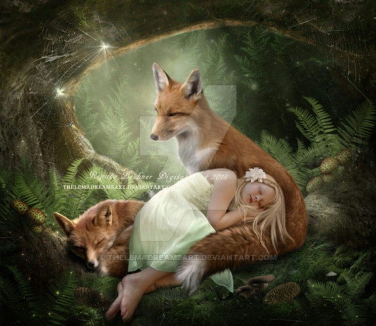 Спокойной ночи Лесные жители