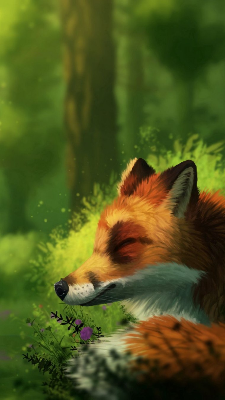 Обои на телефон лиса
