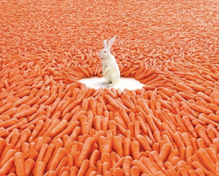 Заяц с большой морковкой