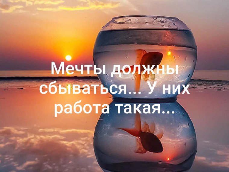 Мечты должны исполняться