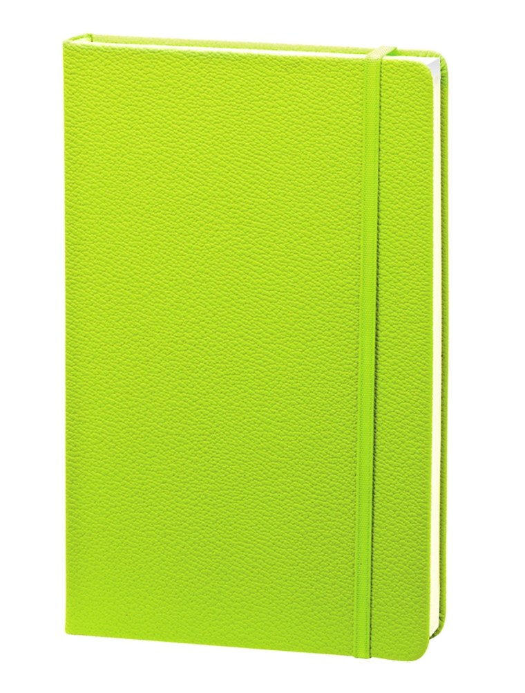 Ежедневник BRAUBERG Cayman 123399 недатированный, искусственная кожа, а5, 160 листов