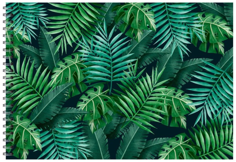 Тропические пальмовые листья