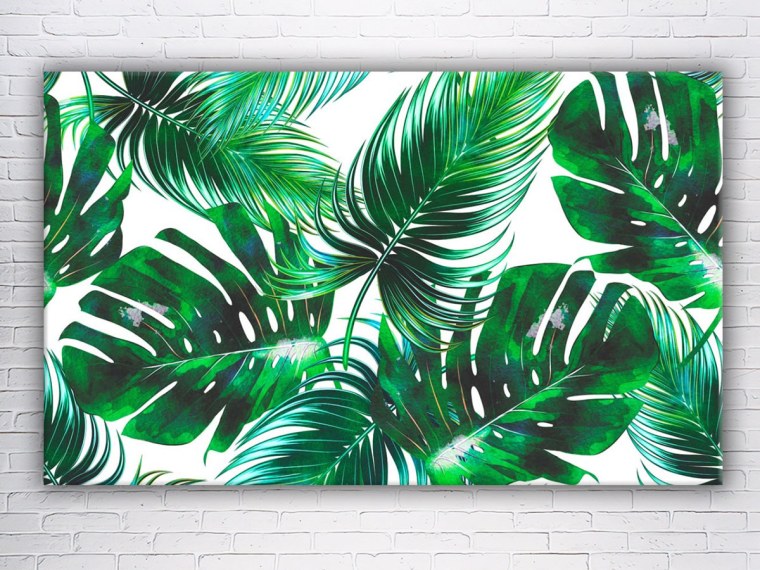 Папоротник пальмы монстера