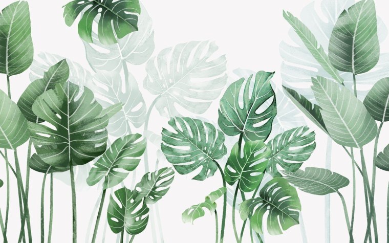 Тропические листья монстеры