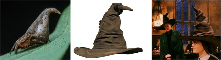 Распределительная шляпа Гарри