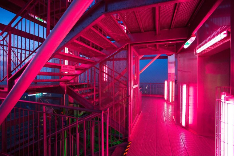 Малиновая Эстетика