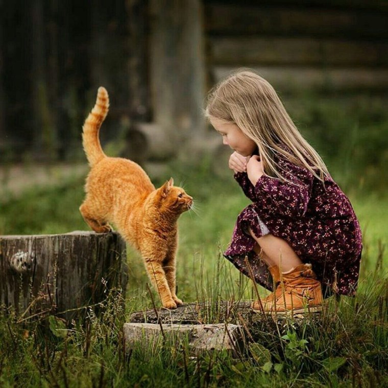 Девочка с котятами