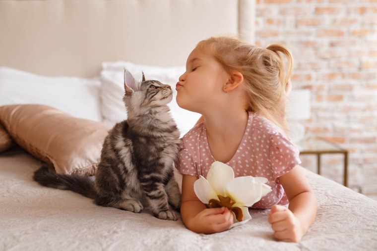 Коты и дети