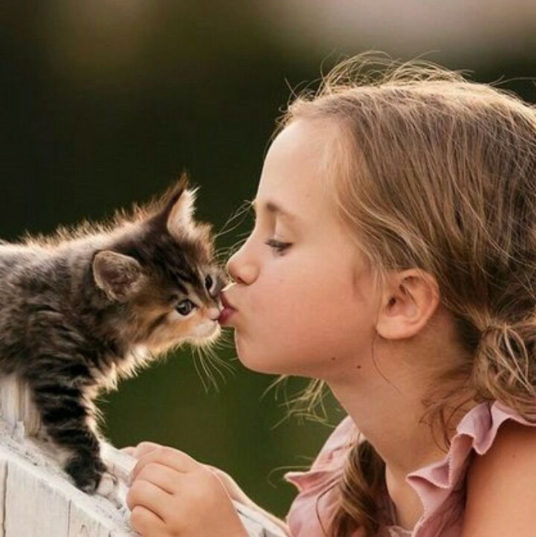 Девочка с котятами