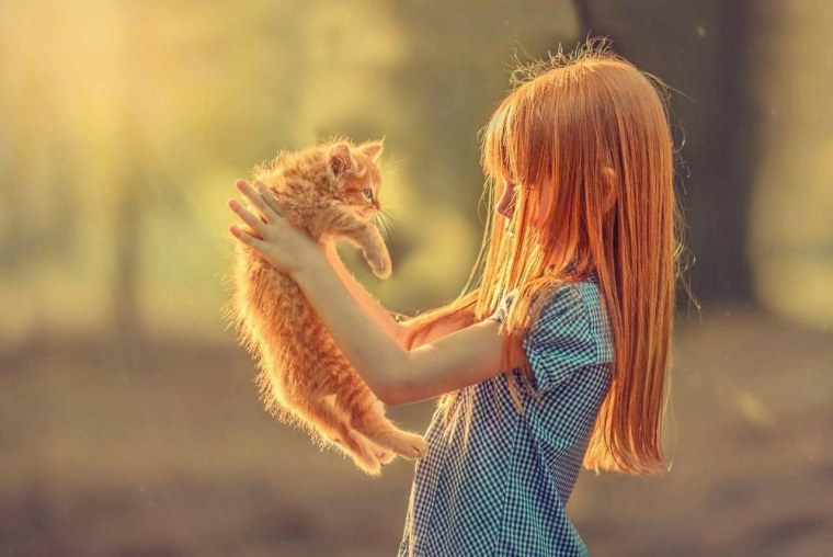 Девочка с рыжим котом
