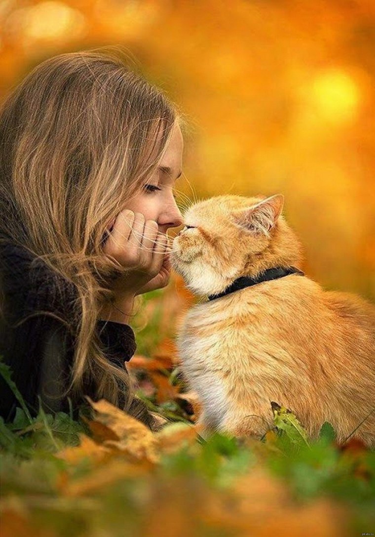 Девушка с рыжим котом