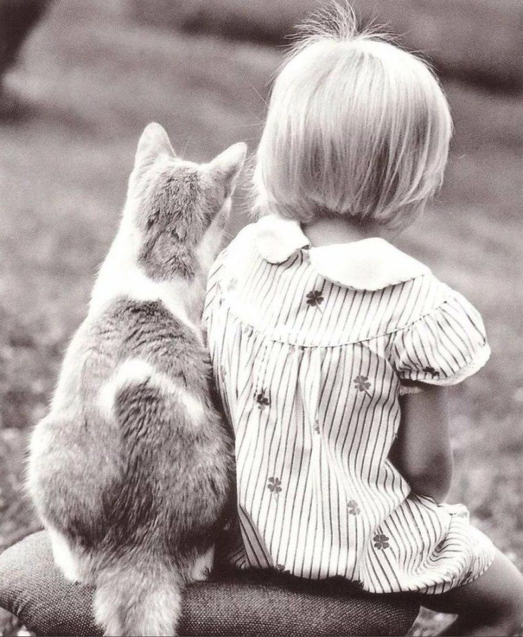 Кошка для детей