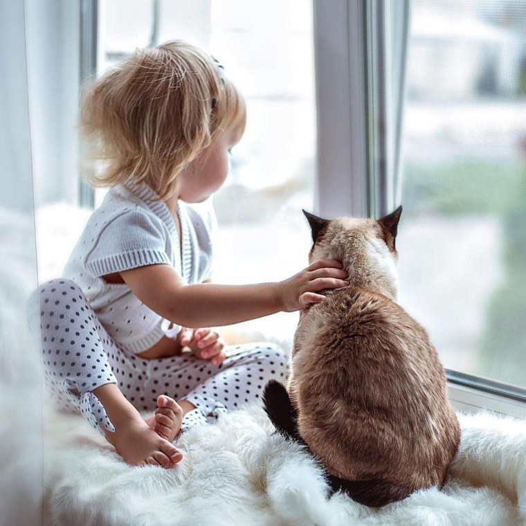 Для детей. Животные