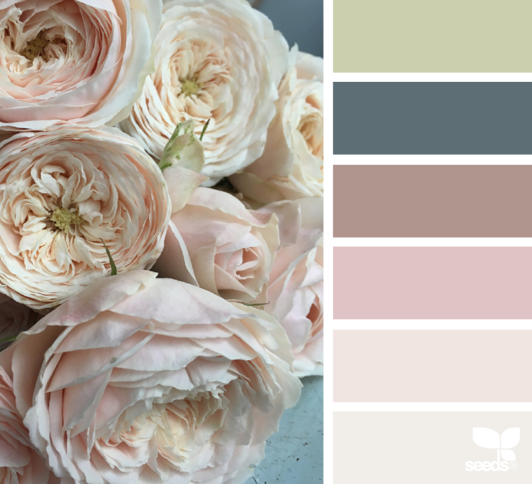 Цвет пыльная роза палитра