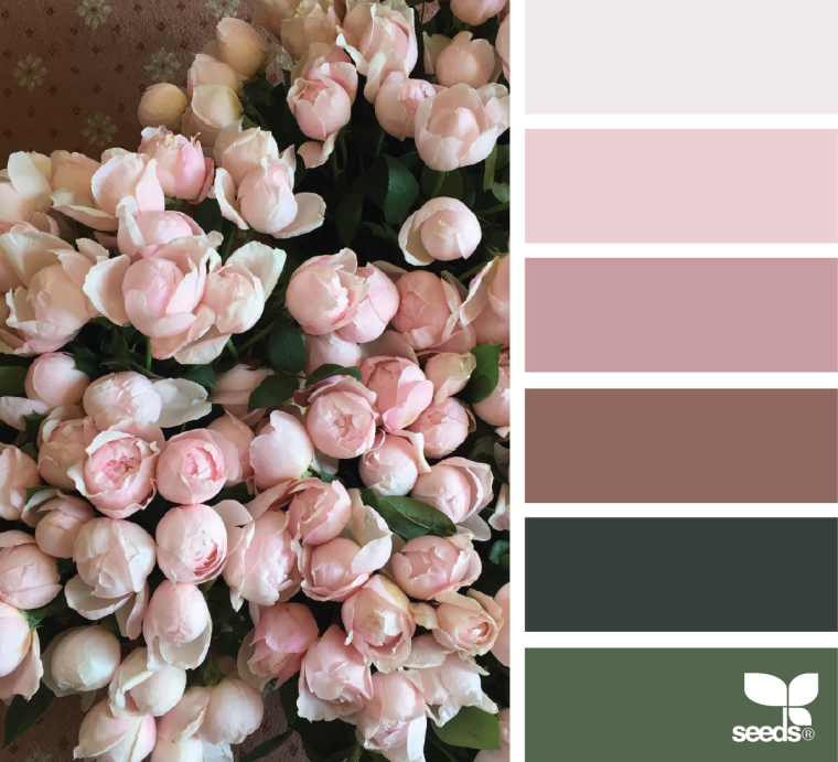 Палитра цветов нюдовых оттенков