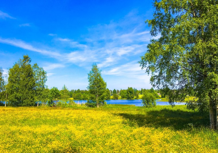 Русская природа